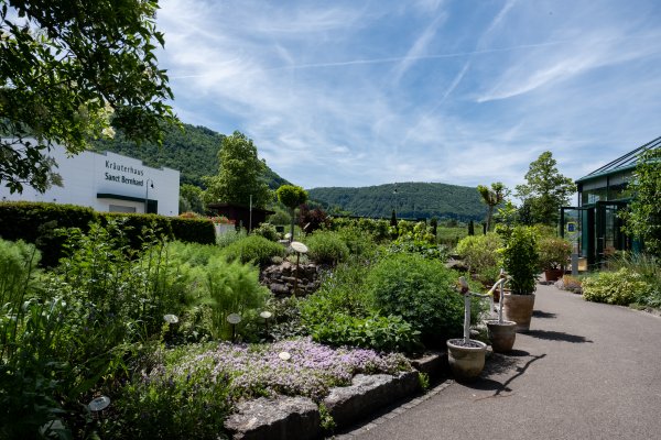 Wellnesshotel Sanct Bernhard
