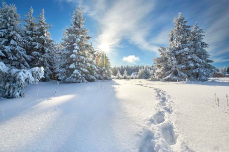 Into the new year without fanfare