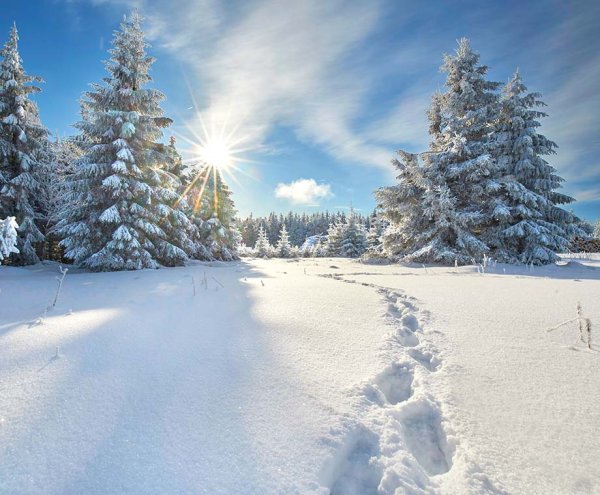 Wellnesshotel Sanct Bernhard