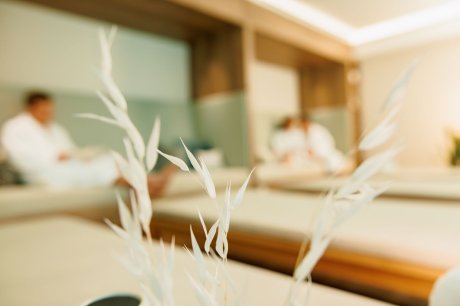 Erfrischende Aloe-Vera-Tage